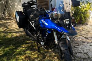 V-strom Suzuki 800 se anno 2024