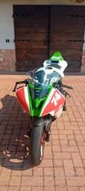 Yamaha r6 2008 solo pista