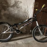Bici da trial