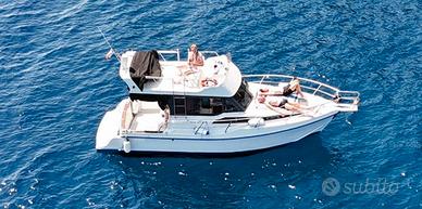 Ala Blu / Onda Blu Proteo 28 Fly