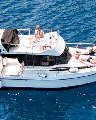 Ala Blu / Onda Blu Proteo 28 Fly