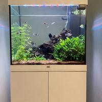 Acquario juwel lido 120