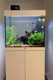 Acquario juwel lido 120