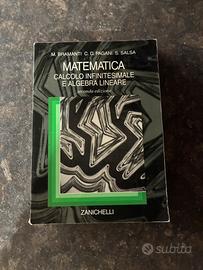 Matematica calcolo infinitesimale… ZANICHELLI