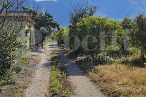 Terreno Agricolo Altavilla Milicia