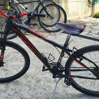 Vicini, bicicletta per ragazzo