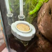 Diffusore di CO? papillon Alife per acquario