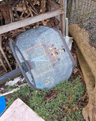 tabellone canestro da basket 