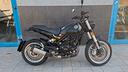 benelli-leoncino-500-trail