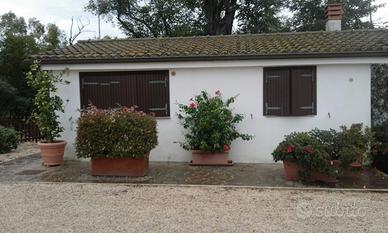 Bilocale indipendente