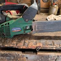 motosega da potatura 