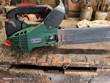 motosega da potatura 