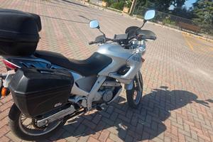 🔥 Aprilia Pegaso 650 🔥