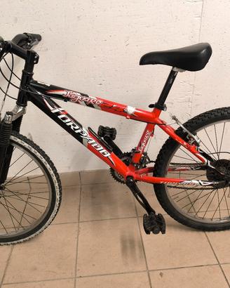bicicletta da ragazzo 