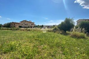 TERRENO A ALBANO LAZIALE