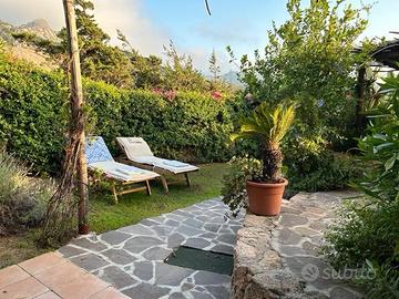 Liscia di vacca porto cervo