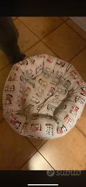 Cuccia morbida