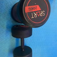 Ribasso COPPIA MANUBRI 20 kg