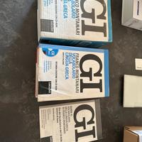 GI vocabolario di greco dizionario