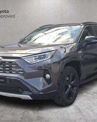 Toyota RAV4 2.5 vvt-ie hybrid Style awd-i e-cvt my