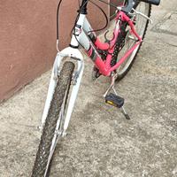 Mountain Bike Mirage MBM Cicli 6 marce per ragazza
