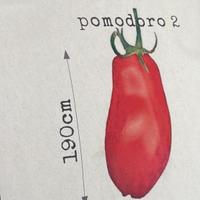 Pomodoro da arredo