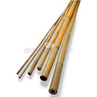 Canne di Bambu