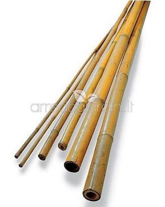 Canne di Bambu