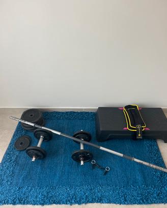 Palestra home
