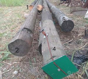 Pali in legno di pino per edilizia varie metrature