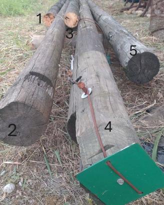 Pali in legno di pino per edilizia varie metrature