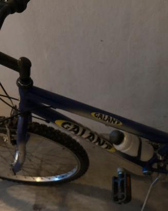Mountain bike ragazzi