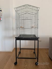 Gabbia pappagalli