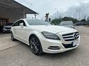mercedes-benz-cls-250-cdi-sw-blueefficiency