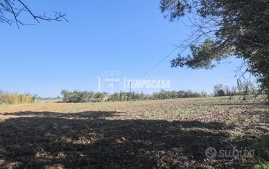 TERRENO EDIFICABILE A SCACCIANO