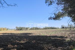 TERRENO EDIFICABILE A SCACCIANO