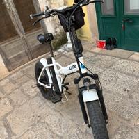 Bici elettrica