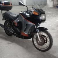 Cagiva alazzurra