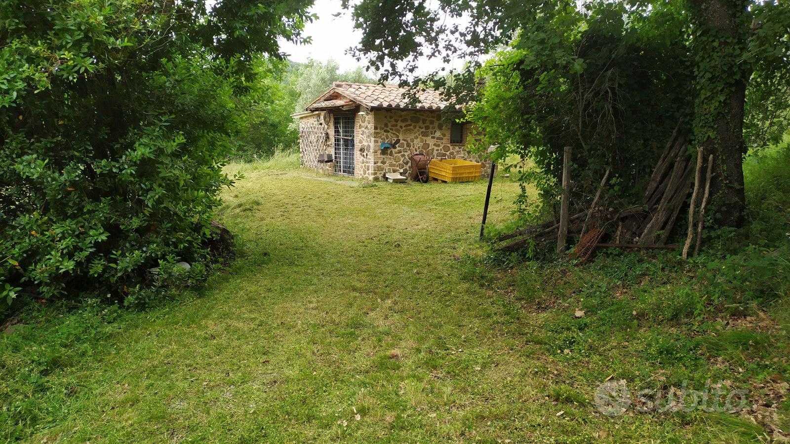 Oliveto con annesso - Vista 3