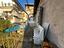 Immagine 7