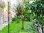 Immagine 30