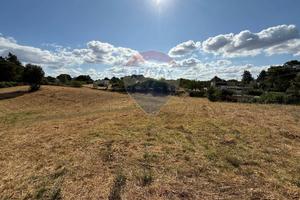 Terreno Edificabile - Martina Franca
