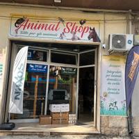 Locale Commerciale in via principale Comiso