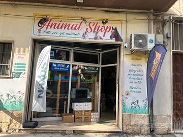 Locale Commerciale in via principale Comiso