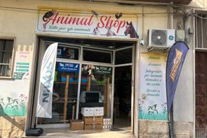 Locale Commerciale in via principale Comiso