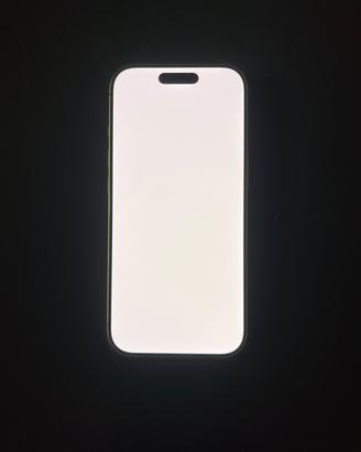 Iphone 17 (prezzo trattabile, richieste adeguate)