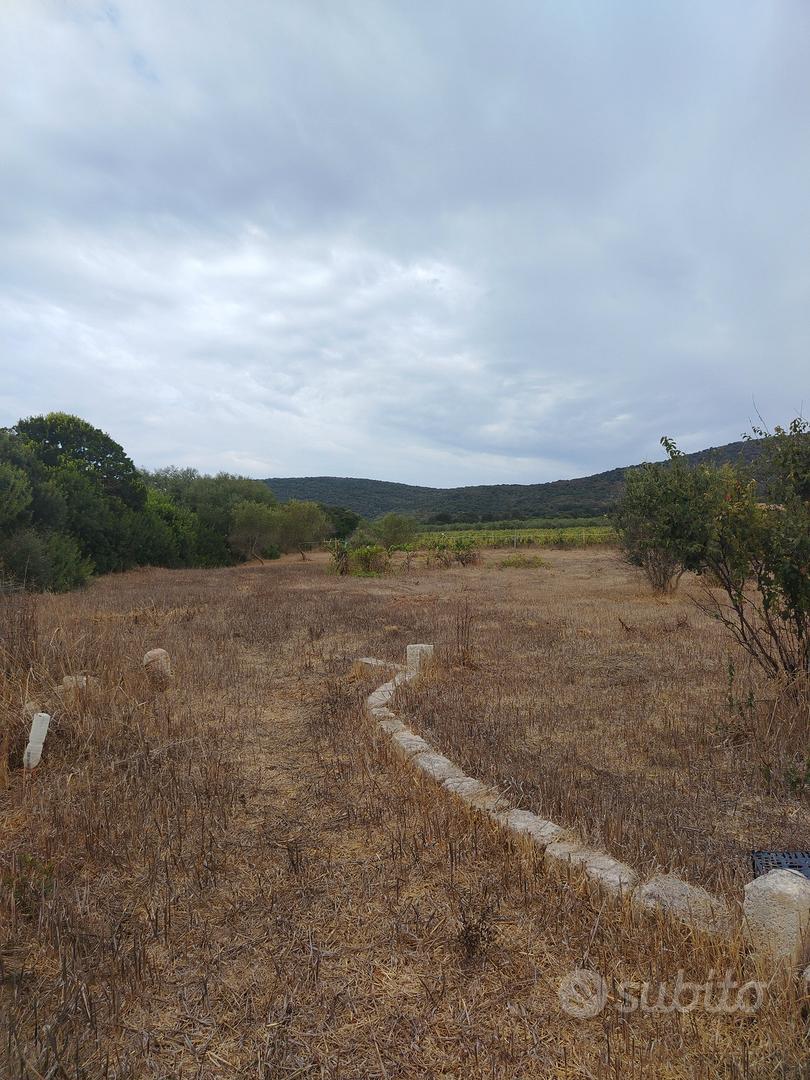 terreno agricolo - Vista 4