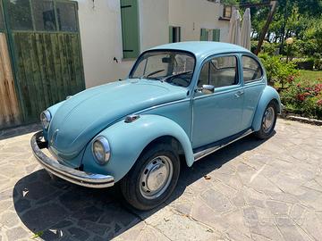 Maggiolino vetro piatto