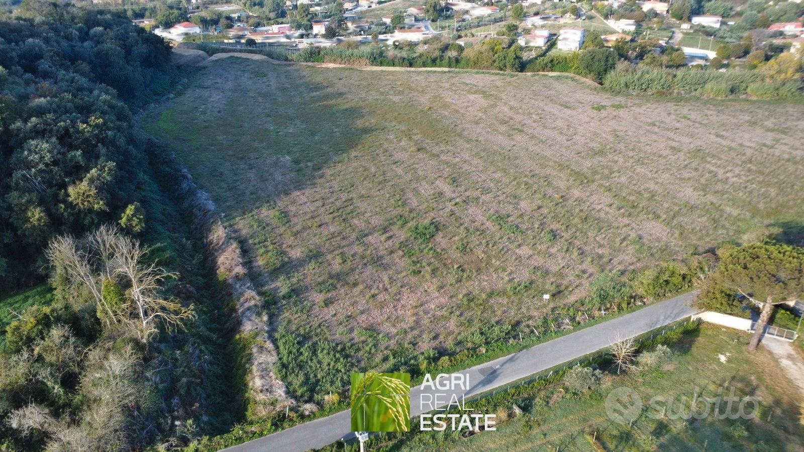 Ardea (RM) - Terreno 4,5 HA con pozzo | TR459 - Vista 3