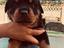 Immagine 5